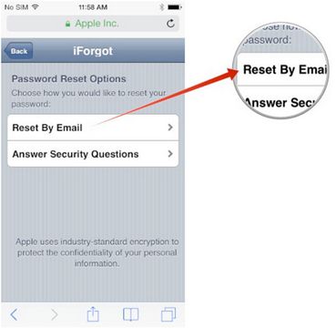 reset iPhone Account password